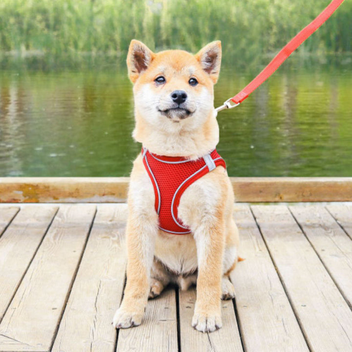 Azura | Pet Chest Harness