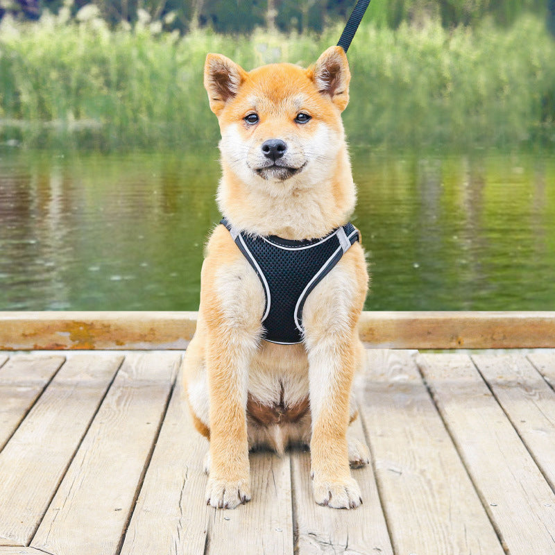 Azura | Pet Chest Harness
