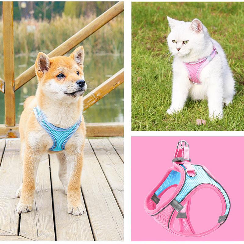 Azura | Pet Chest Harness