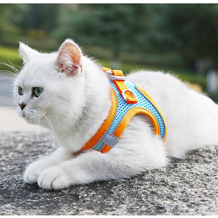 Azura | Pet Chest Harness