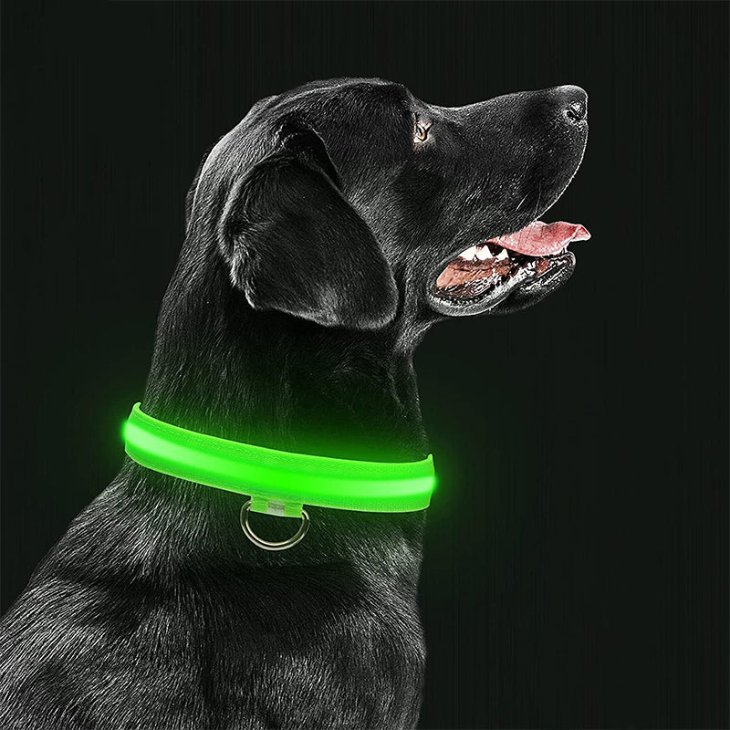 Azura | Luminous Animal Collar with LED Light – Rechargeable, Waterproof, Adjustable Fit for Enhanced Safety at Night