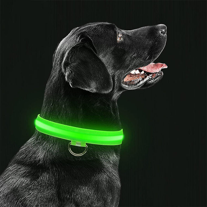 Azura | Luminous Animal Collar with LED Light – Rechargeable, Waterproof, Adjustable Fit for Enhanced Safety at Night