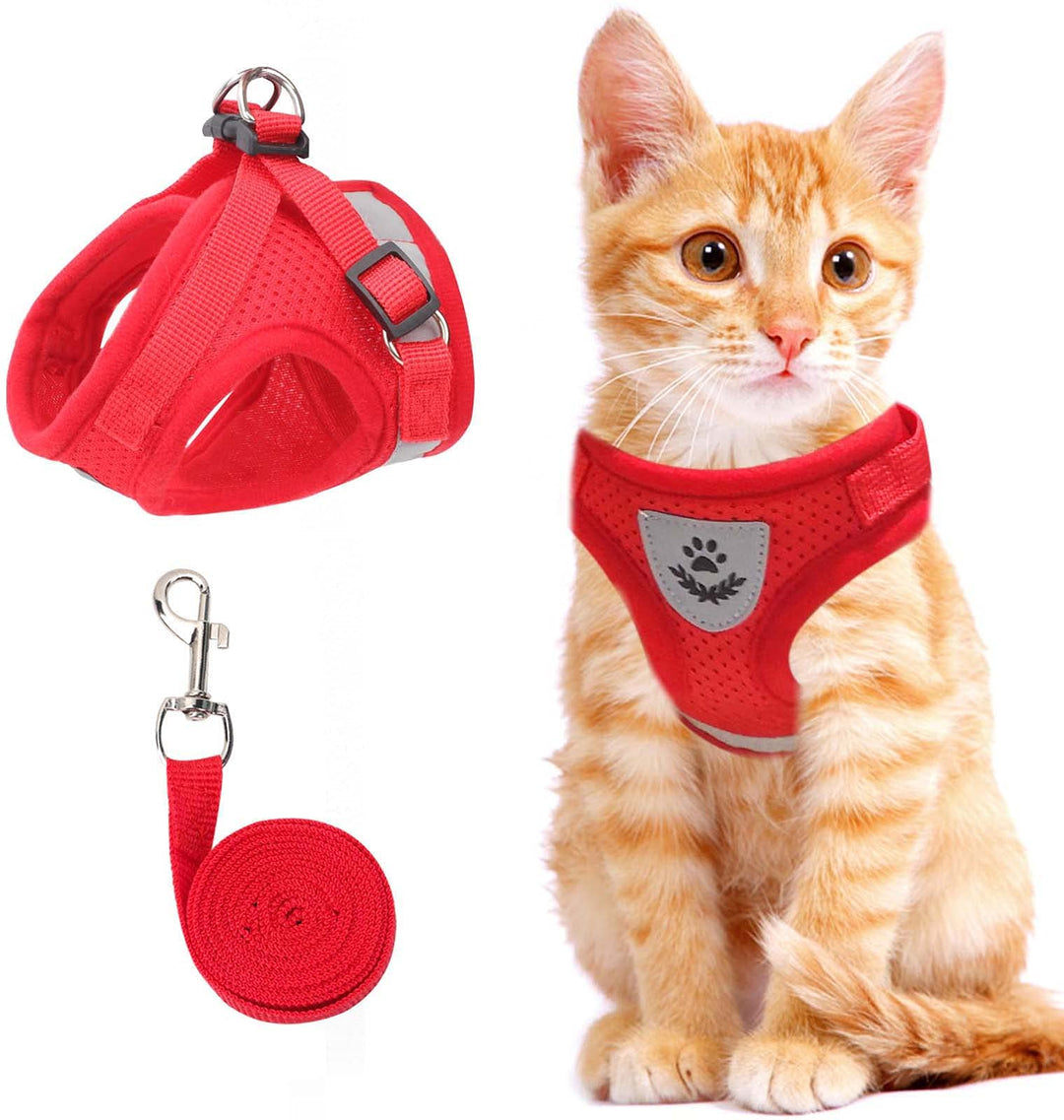 Azura | Reflective Cat Harness and Leash Set with Adjustable Straps for Safe Night Adventures – Comfortable Fit for Cats and Kittens