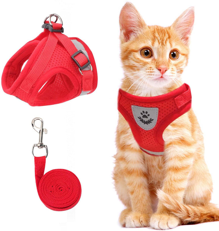 Azura | Reflective Cat Harness and Leash Set with Adjustable Straps for Safe Night Adventures – Comfortable Fit for Cats and Kittens