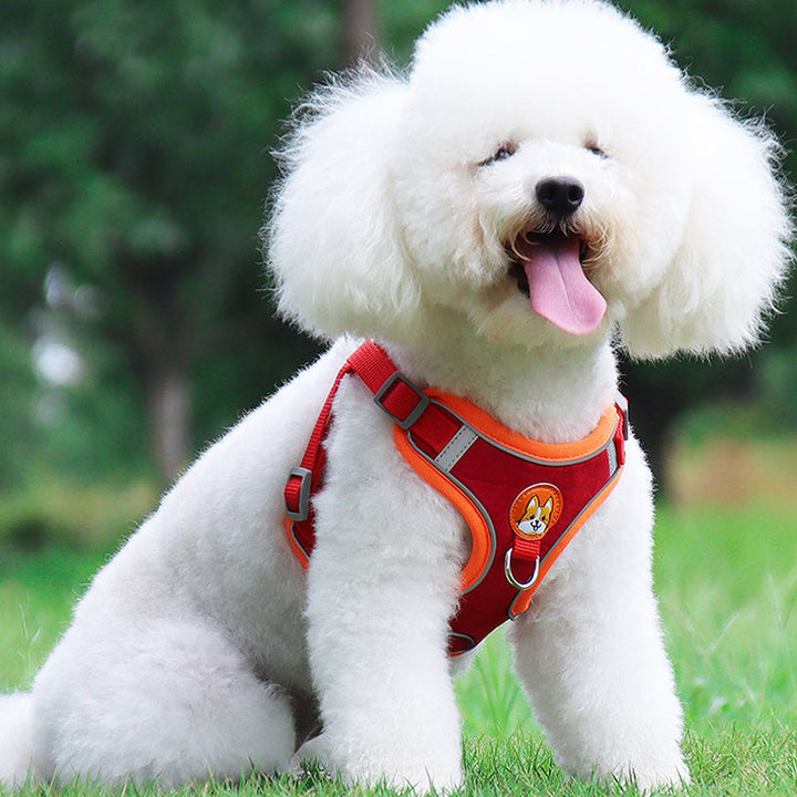 Azura | Reflective Pet Harness and Leash Set