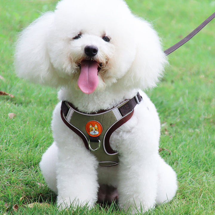 Azura | Reflective Pet Harness and Leash Set