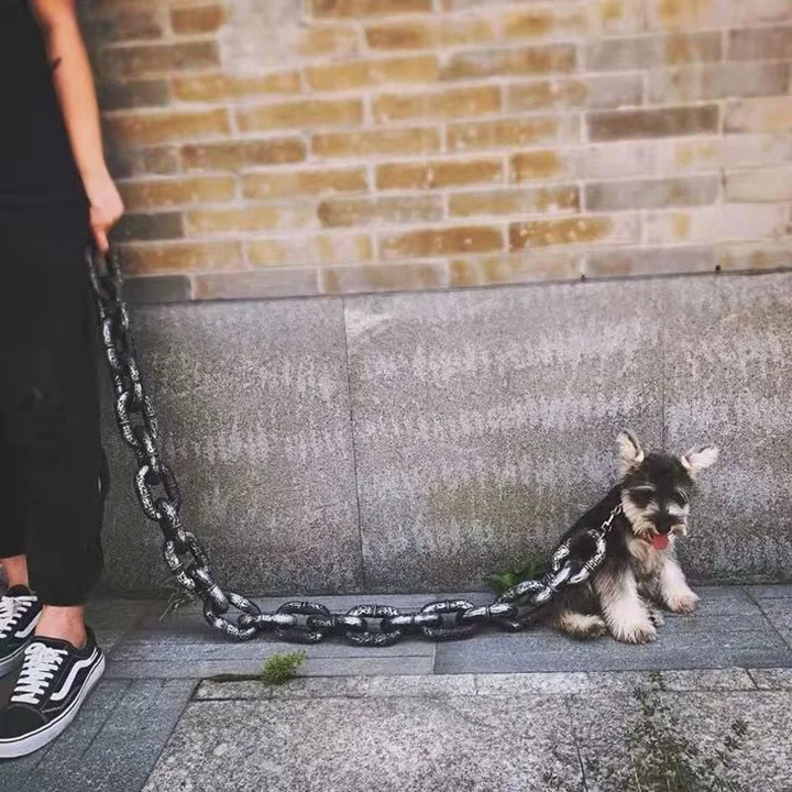 Azura | Funny Large Dog Collar
