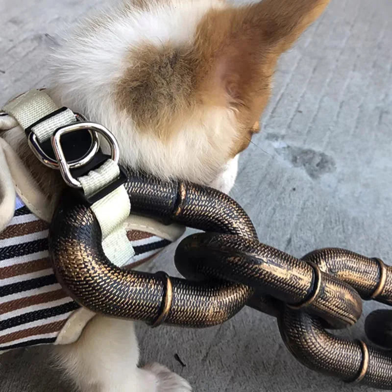 Azura | Funny Large Dog Collar