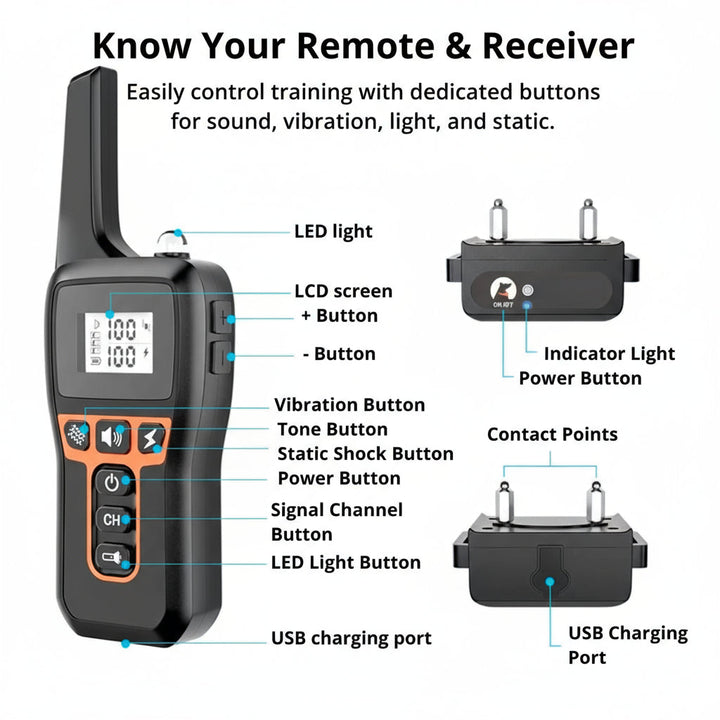 Azura | 1000m Waterproof Dog Training Collar | Rechargeable, Remote Control & Adjustable for Small, Medium, and Large Dogs