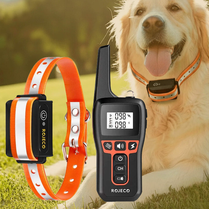 Azura | 1000m Waterproof Dog Training Collar | Rechargeable, Remote Control & Adjustable for Small, Medium, and Large Dogs