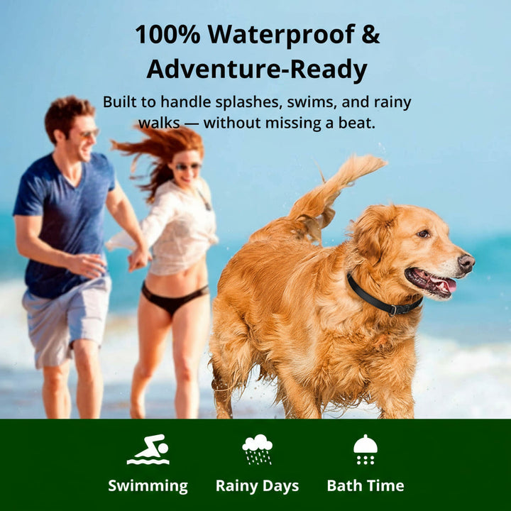 Azura | 1000m Waterproof Dog Training Collar | Rechargeable, Remote Control & Adjustable for Small, Medium, and Large Dogs