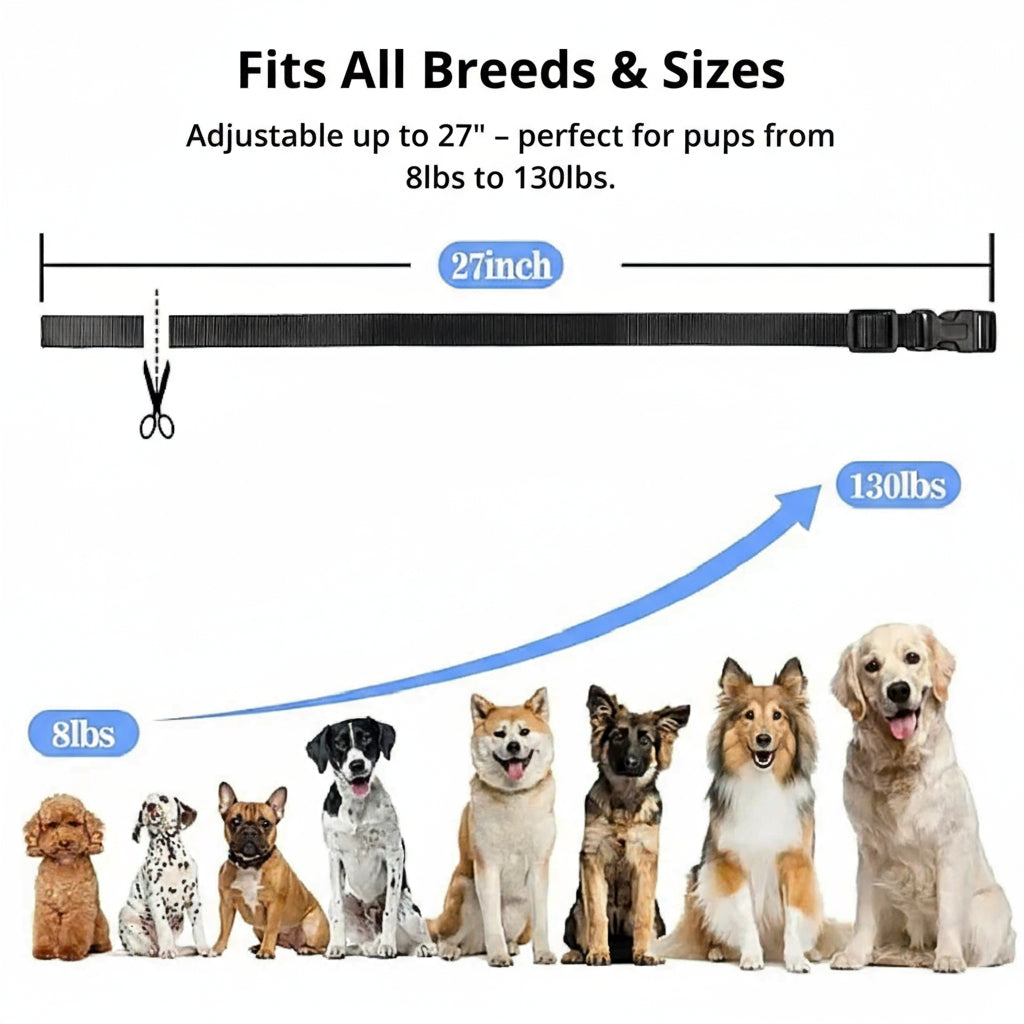 Azura | 1000m Waterproof Dog Training Collar | Rechargeable, Remote Control & Adjustable for Small, Medium, and Large Dogs