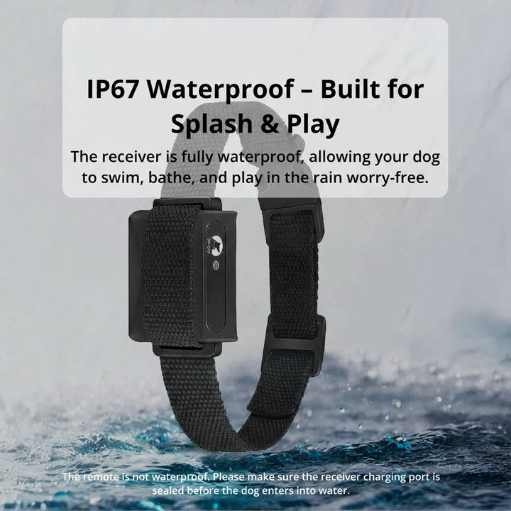 Azura | 1000m Waterproof Dog Training Collar | Rechargeable, Remote Control & Adjustable for Small, Medium, and Large Dogs