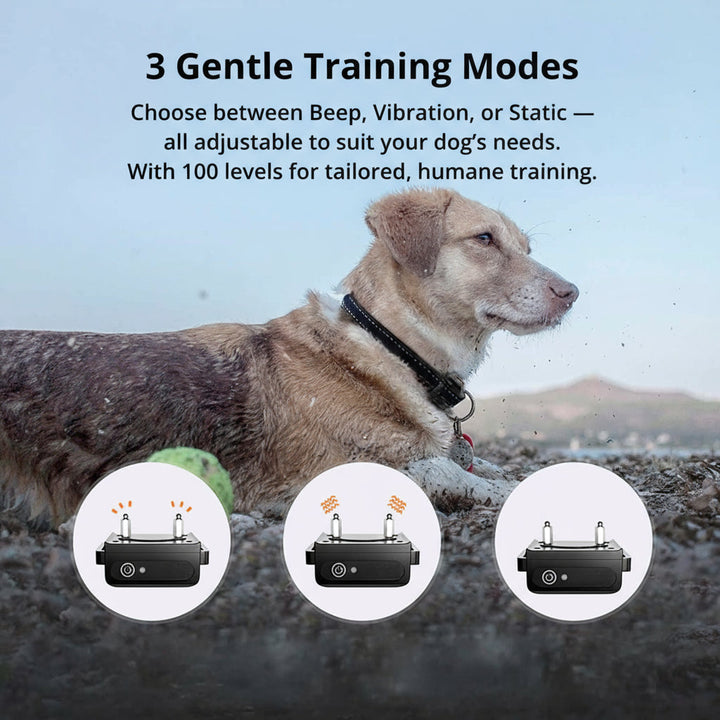 Azura | 1000m Waterproof Dog Training Collar | Rechargeable, Remote Control & Adjustable for Small, Medium, and Large Dogs
