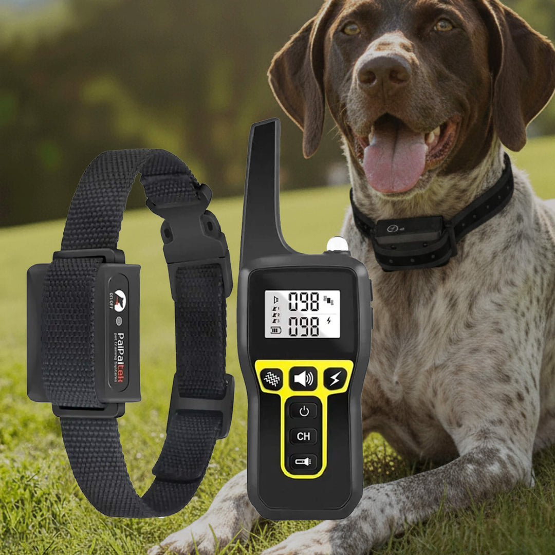 Azura | 1000m Waterproof Dog Training Collar | Rechargeable, Remote Control & Adjustable for Small, Medium, and Large Dogs