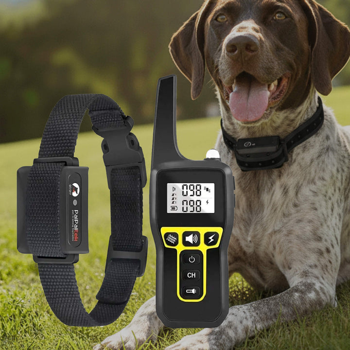 Azura | 1000m Waterproof Dog Training Collar | Rechargeable, Remote Control & Adjustable for Small, Medium, and Large Dogs