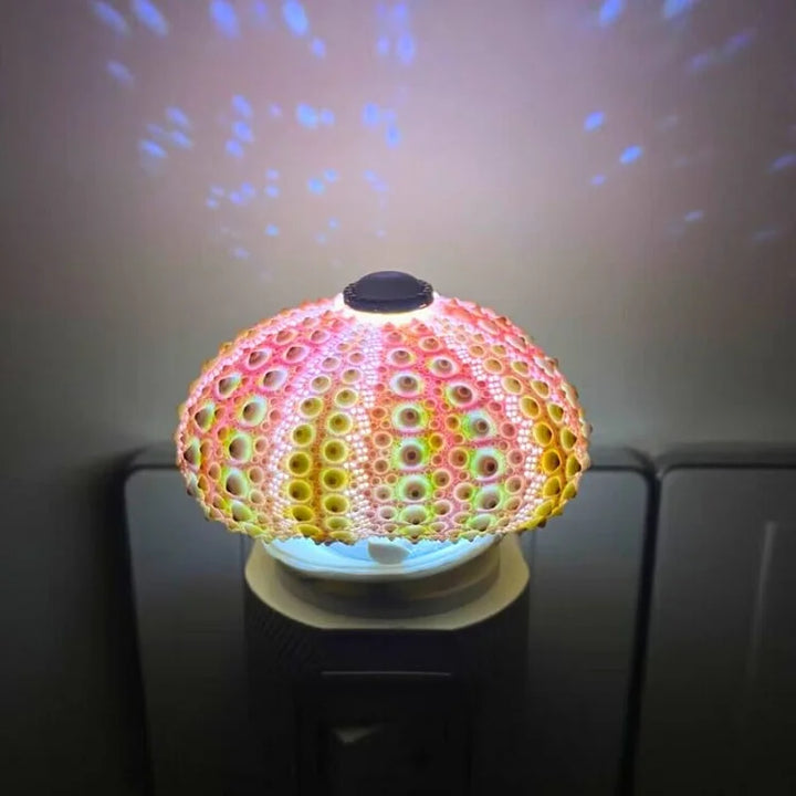 BowLift | LumiCraft – Unique DIY table lamp with natural sea shell for a cozy décor