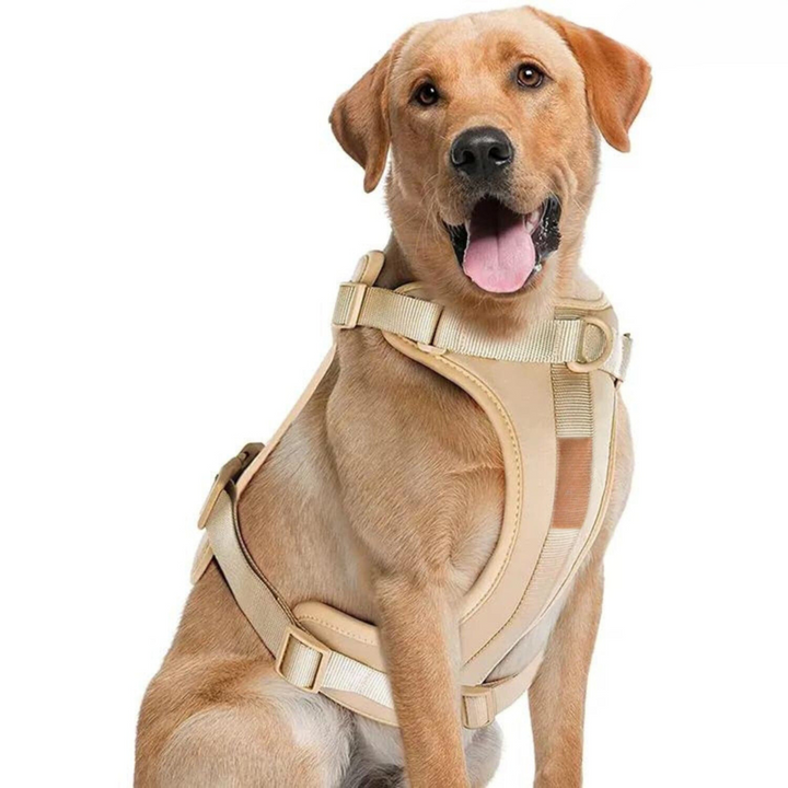 Azura | ComfyPaws Dog Harness Walking Set with Leash and Poop Bag Holder