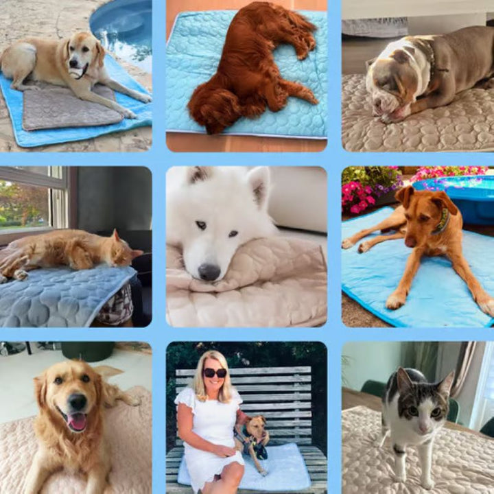 Azura | Cooling Mat for Dogs (4x More Effective)