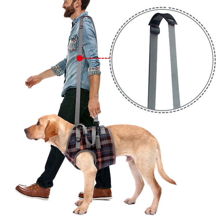 Azura | Orthopedic Rear Leg Support Harness for Dogs – Ideal for Arthritis, Hip Dysplasia & Mobility Aid