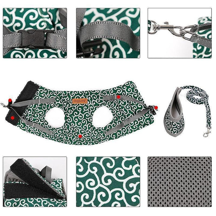 Azura | Cat vest harness and leash set for walks