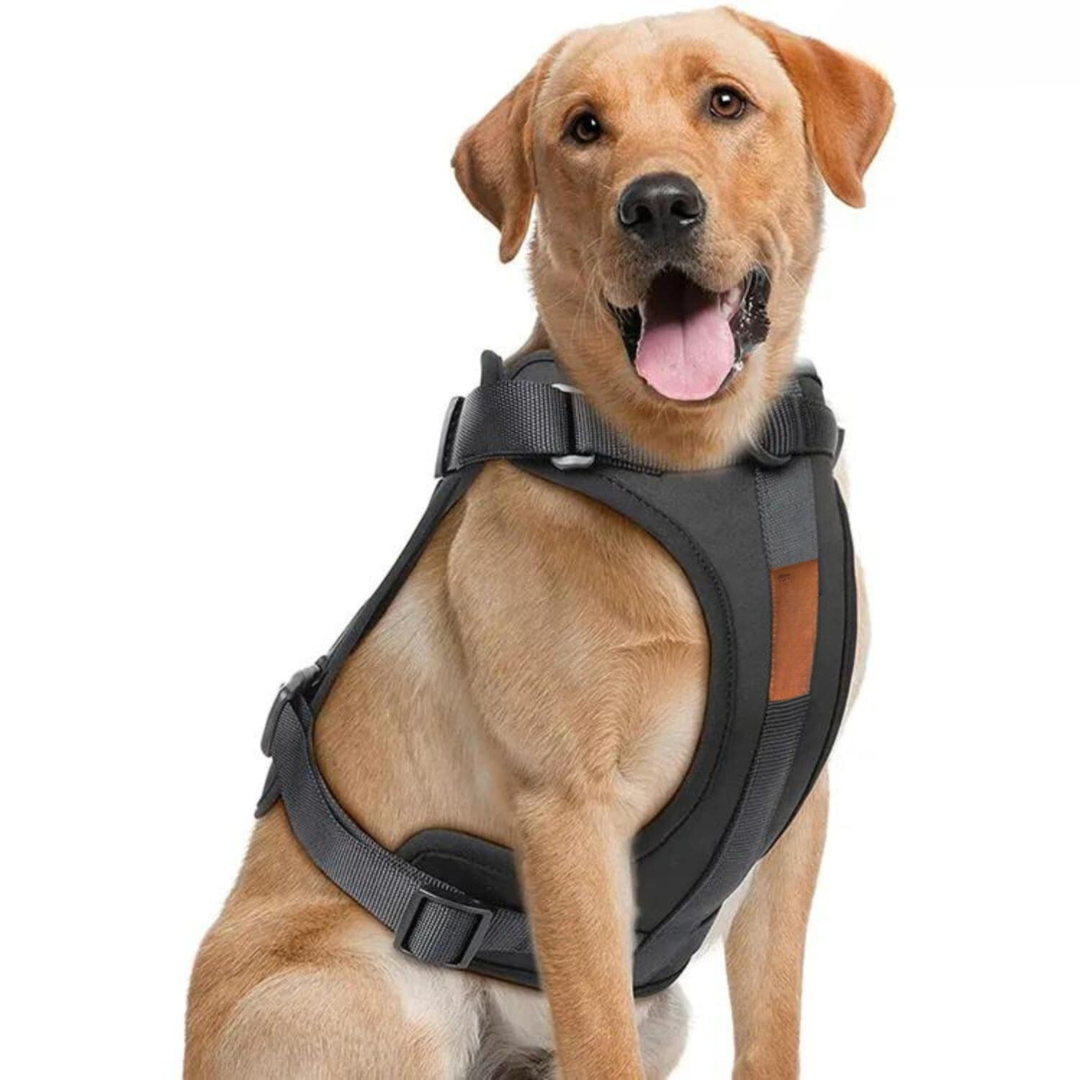 Azura | ComfyPaws Dog Harness Walking Set with Leash and Poop Bag Holder