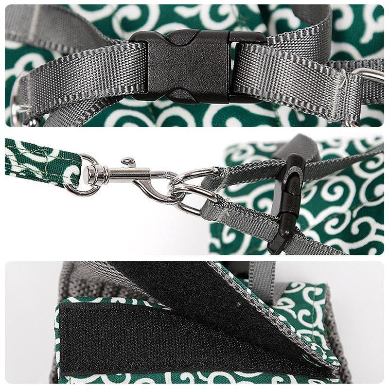 Azura | Cat vest harness and leash set for walks