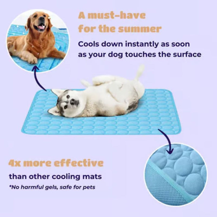Azura | Cooling Mat for Dogs (4x More Effective)