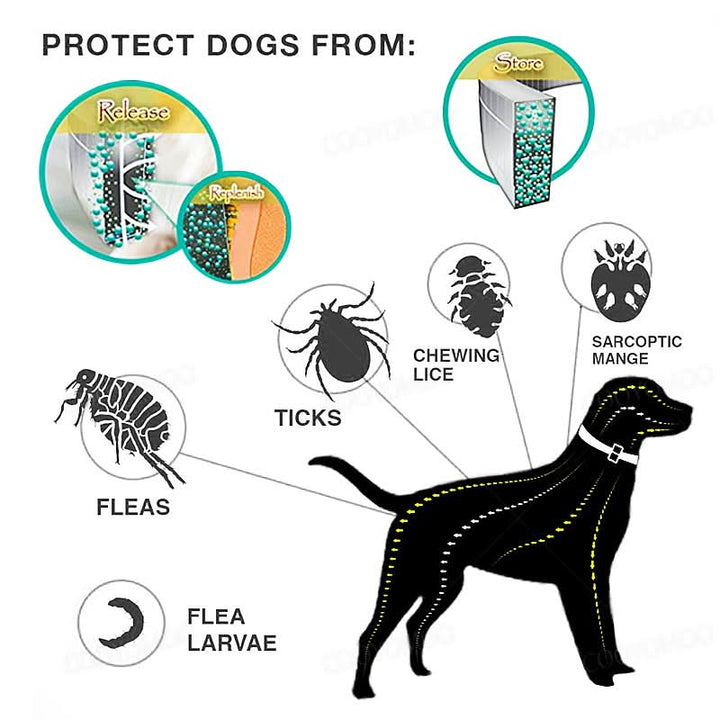 Azura | PAWTECT - Anti-tick and flea collar