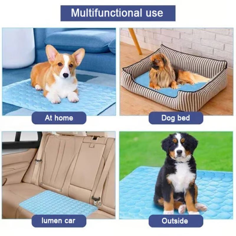 Azura | Cooling Mat for Dogs (4x More Effective)