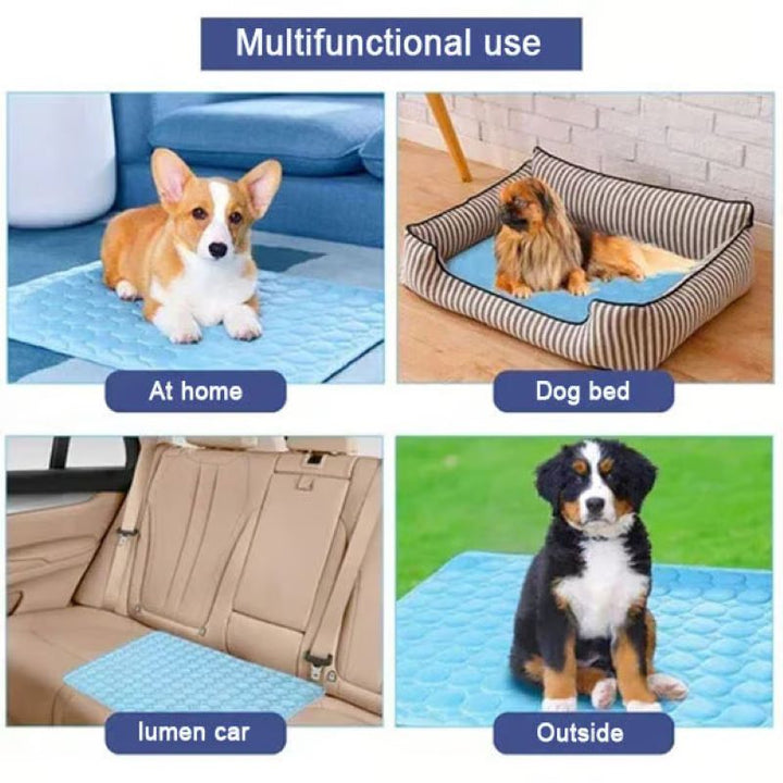 Azura | Cooling Mat for Dogs (4x More Effective)