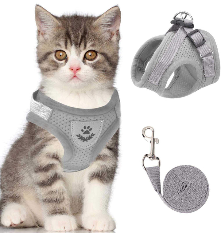 Azura | Reflective Cat Harness and Leash Set with Adjustable Straps for Safe Night Adventures – Comfortable Fit for Cats and Kittens