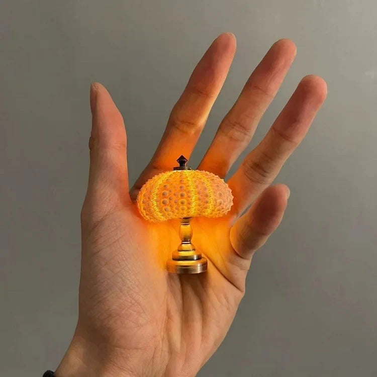 BowLift | LumiCraft – Unique DIY table lamp with natural sea shell for a cozy décor