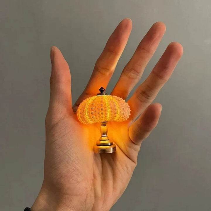 BowLift | LumiCraft – Unique DIY table lamp with natural sea shell for a cozy décor