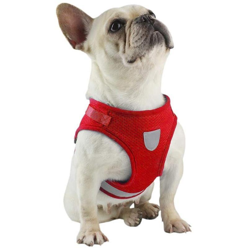 Azura | Reflective Safety Dog Harness and Leash Set Offer