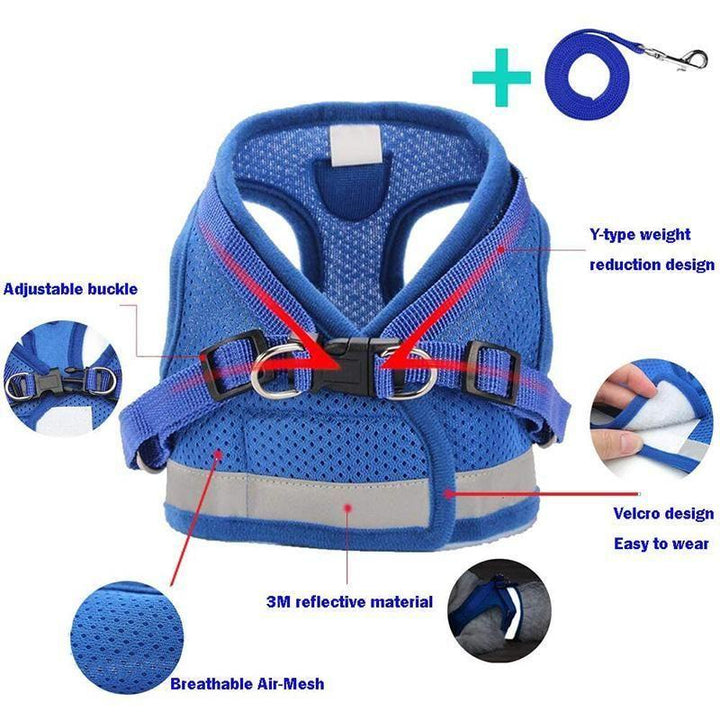 Azura | Reflective Safety Dog Harness and Leash Set Offer