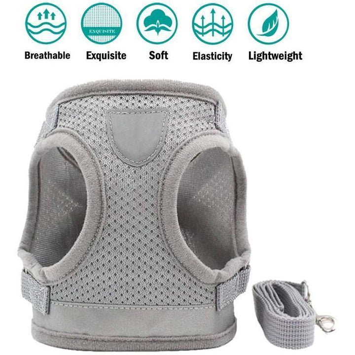 Azura | Reflective Safety Dog Harness and Leash Set Offer