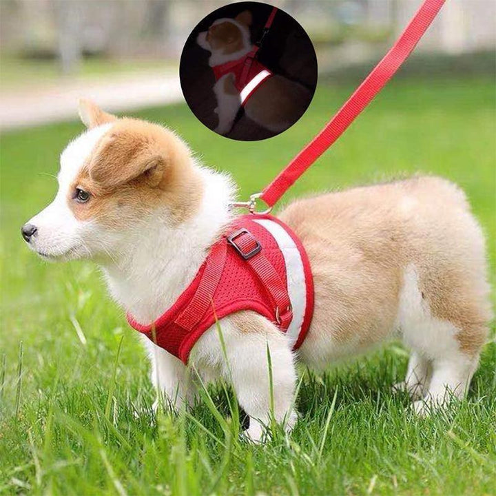 Azura | Reflective Safety Dog Harness and Leash Set Offer