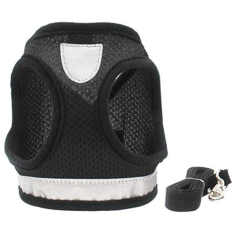Azura | Reflective Safety Dog Harness and Leash Set Offer