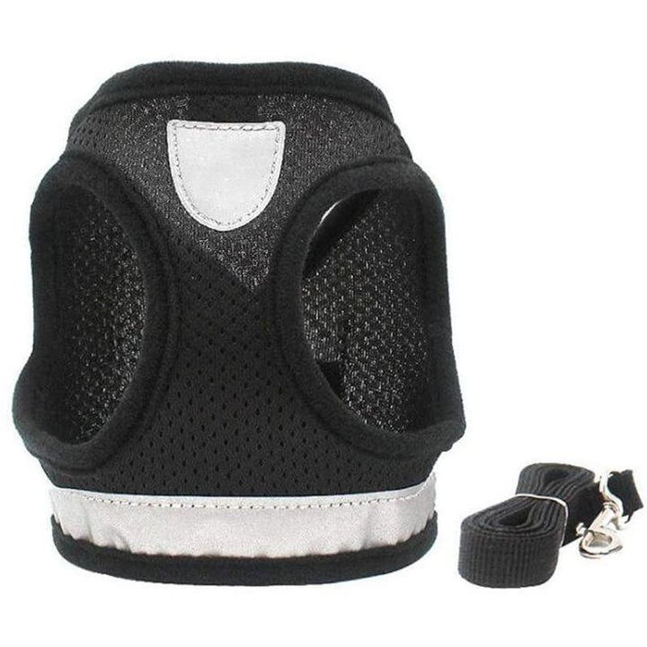 Azura | Reflective Safety Dog Harness and Leash Set Offer