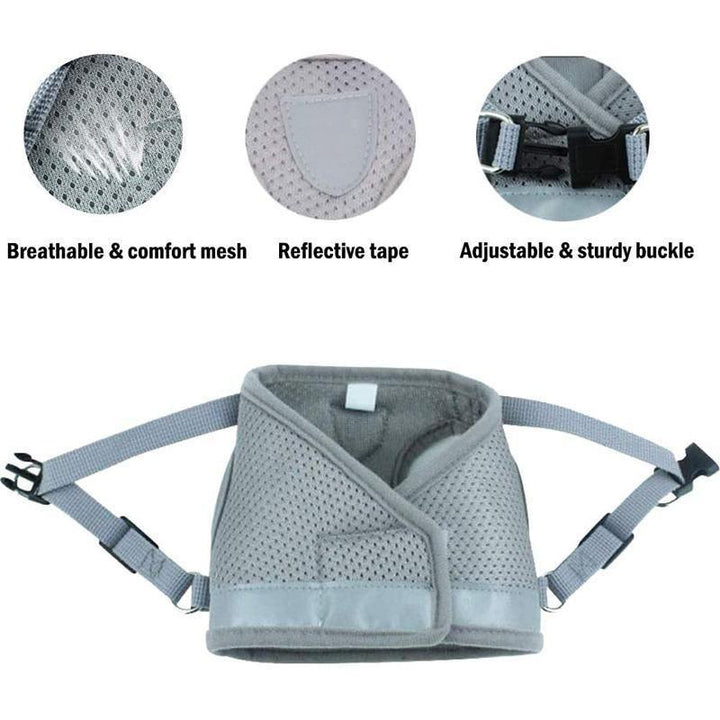 Azura | Reflective Safety Dog Harness and Leash Set Offer