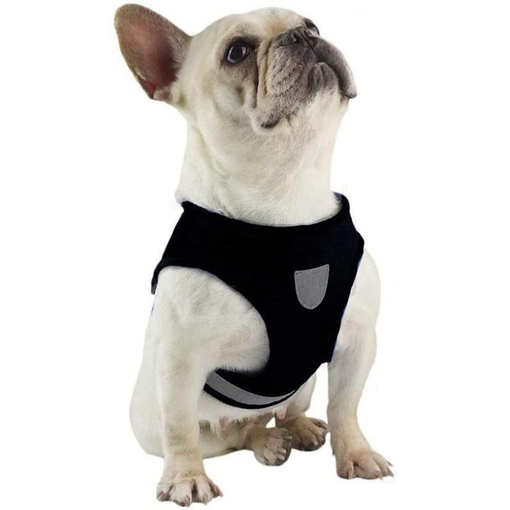 Azura | Reflective Safety Dog Harness and Leash Set Offer