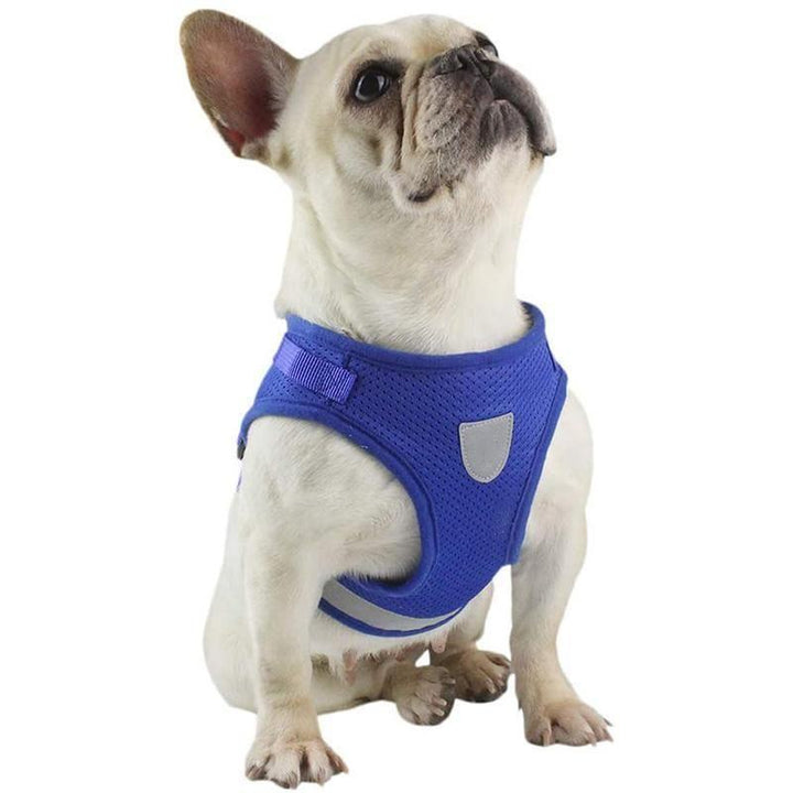 Azura | Reflective Safety Dog Harness and Leash Set Offer