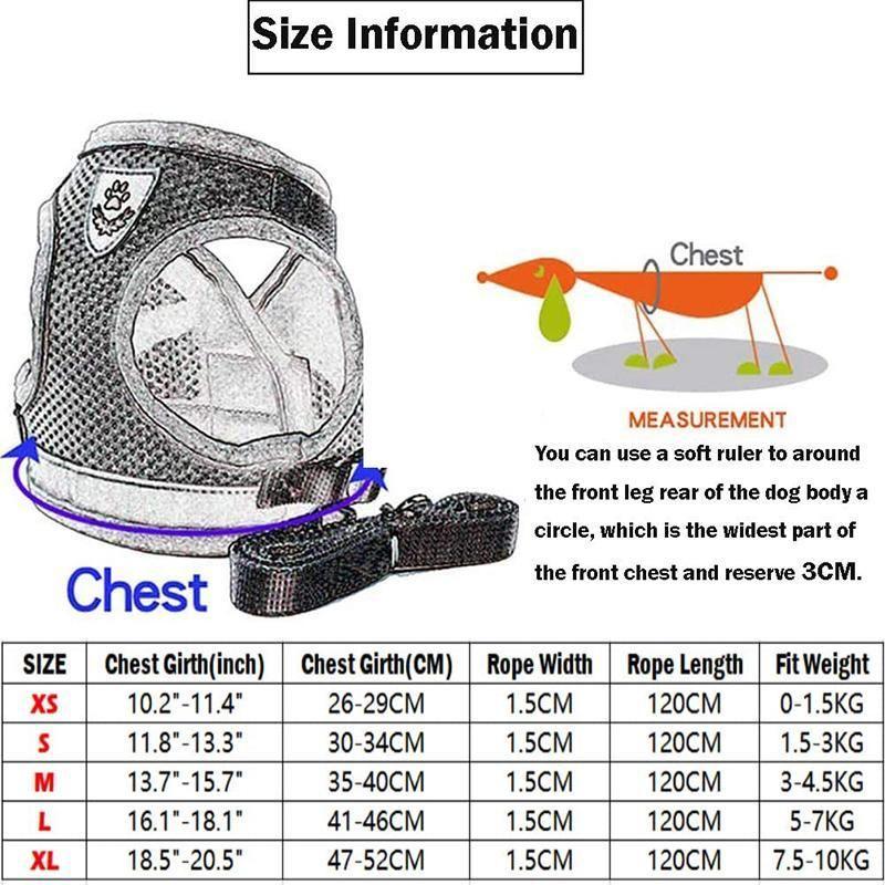 Azura | Reflective Safety Dog Harness and Leash Set Offer