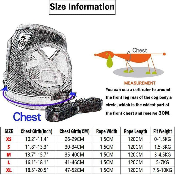 Azura | Reflective Safety Dog Harness and Leash Set Offer