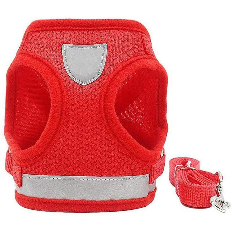 Azura | Reflective Safety Dog Harness and Leash Set Offer