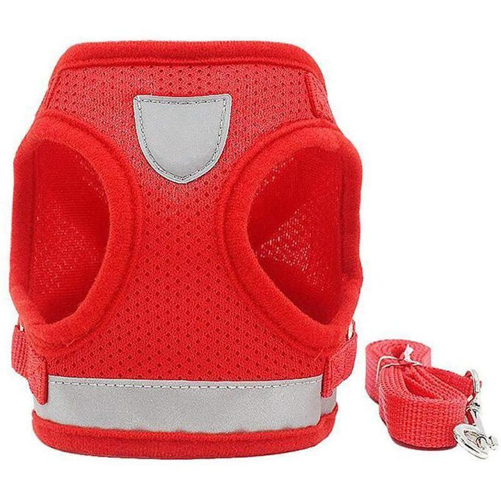 Azura | Reflective Safety Dog Harness and Leash Set Offer