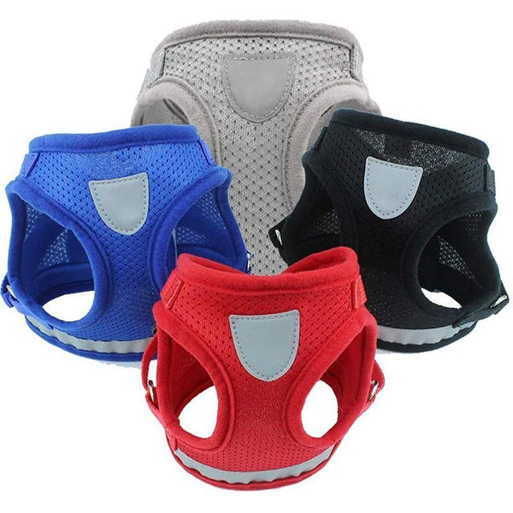 Azura | Reflective Safety Dog Harness and Leash Set Offer