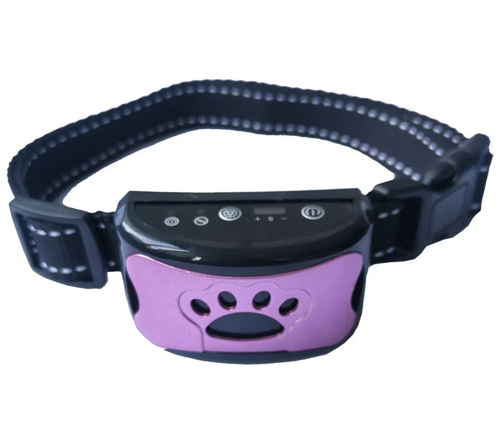 Dog Training Collar for Quiet Behavior – CalmPaws Azura
