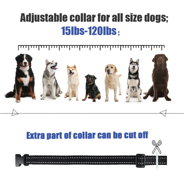 Azura | Electric Dog Training Collar – 500m Remote Control, Waterproof IPX7, Shock, Vibration & Sound Modes